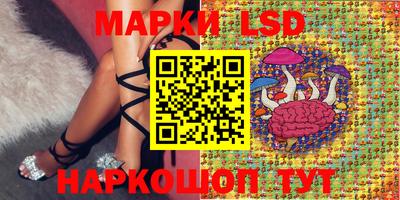 сатива Сланцы