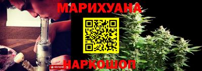 сатива Сланцы