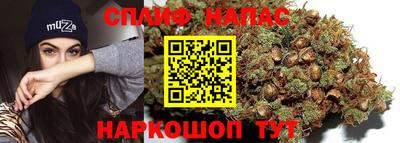 сатива Сланцы
