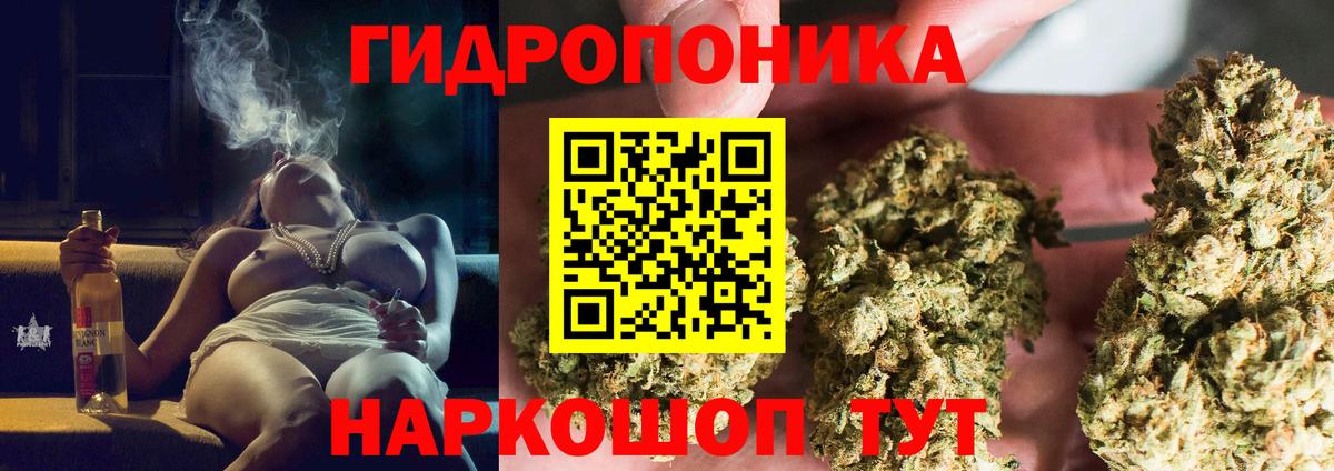 Бошки Шишки семена  Вход с VPN  Бошки марихуана марихуана  Бошки Шишки планчик  Пушкино 